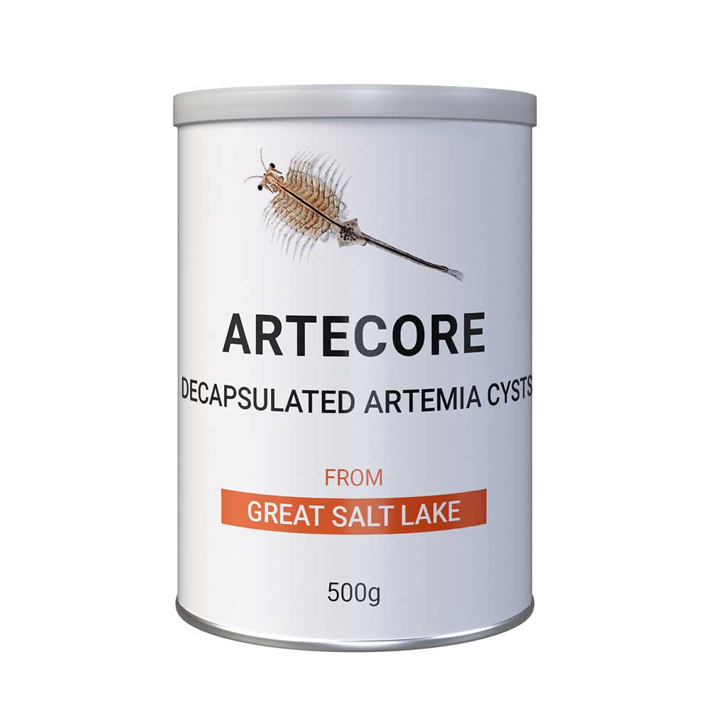 ArteCore (Decapsulated Artemia Cysts)